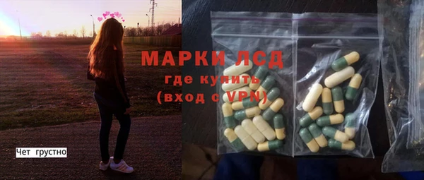 прущие грибы Богородицк