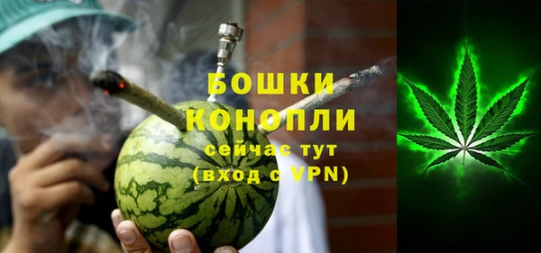 прущие грибы Богородицк