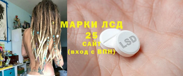 хмурый Сосновка