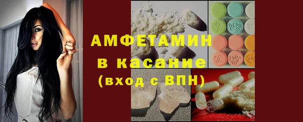 прущие грибы Богородицк