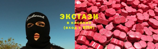 прущие грибы Богородицк