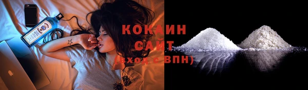 прущие грибы Богородицк