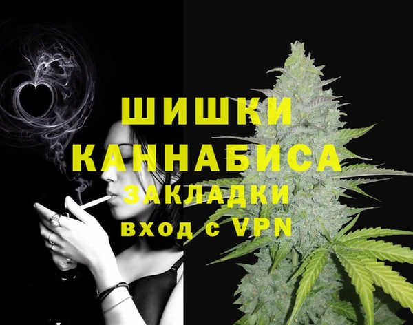 прущие грибы Богородицк