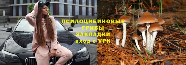 кокс Богородск