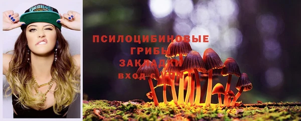 прущие грибы Богородицк